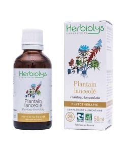 Extrait de plante fraîche - Plantain lanceolé BIO - Plantago lanceolata BIO, 50 ml